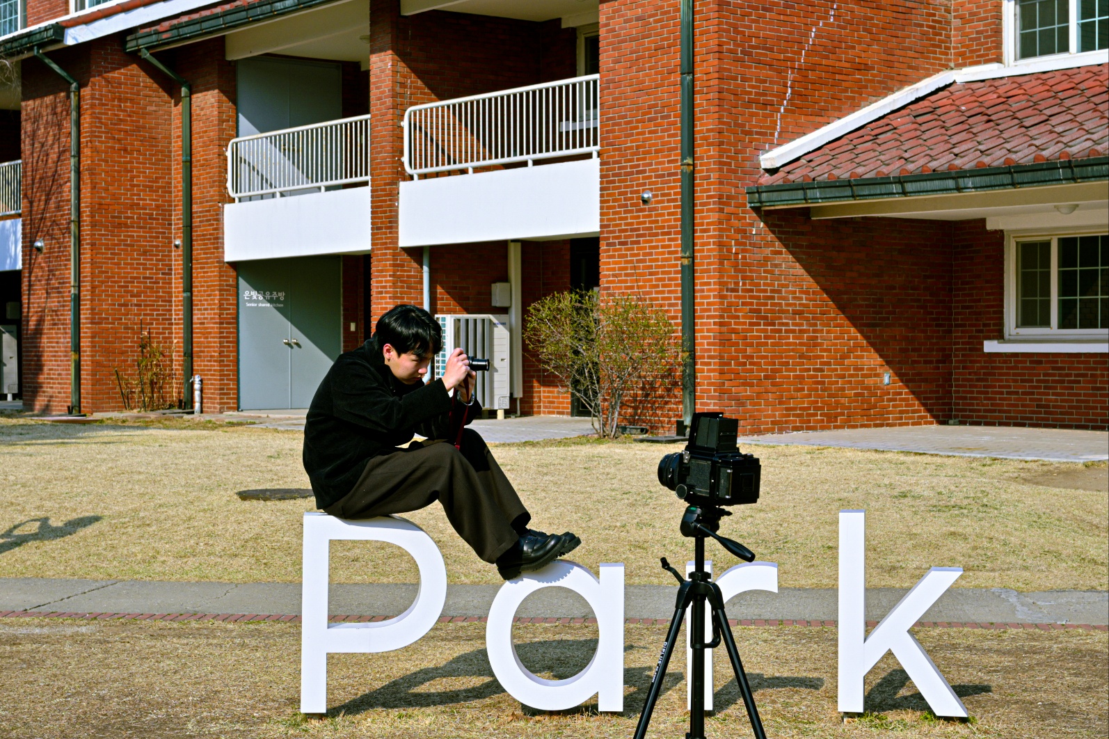 [출사] 26년 3월 3주차 용산공원 상세 이미지 4