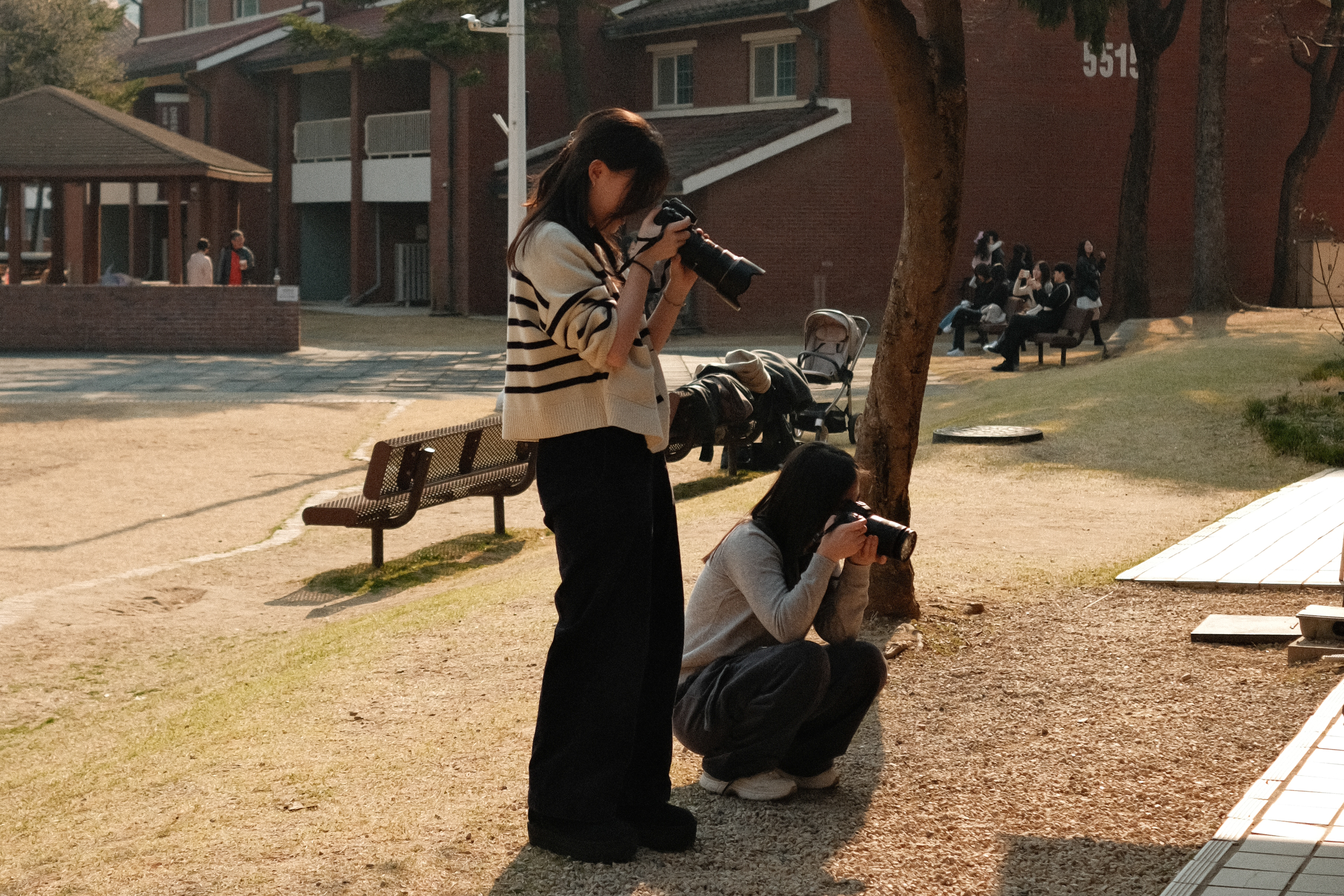 [출사] 26년 3월 3주차 용산공원 상세 이미지 6